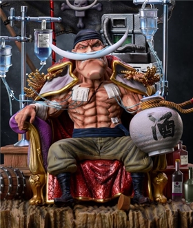 Hospitalized White Beard – One Piece