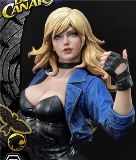2DC-Comics-Black-Canary