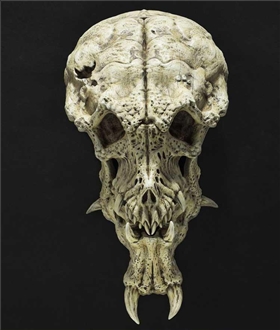 Predator-2-Film-City-Hunter-Predator-Ultimate