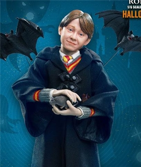 Ron-Weasley-Halloween-Ver-Harry-Potter