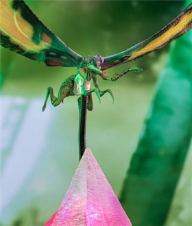 Mothra - Godzilla vs. Kong: The New Empire