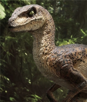 Jurassic-Park-Film-Velociraptor-Closed-Mouth