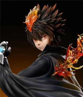 Tsunayoshi Sawada - Reborn