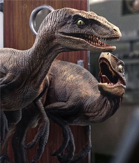 Raptors at the Kitchen's Door