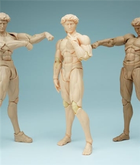 David Male Body 1/12